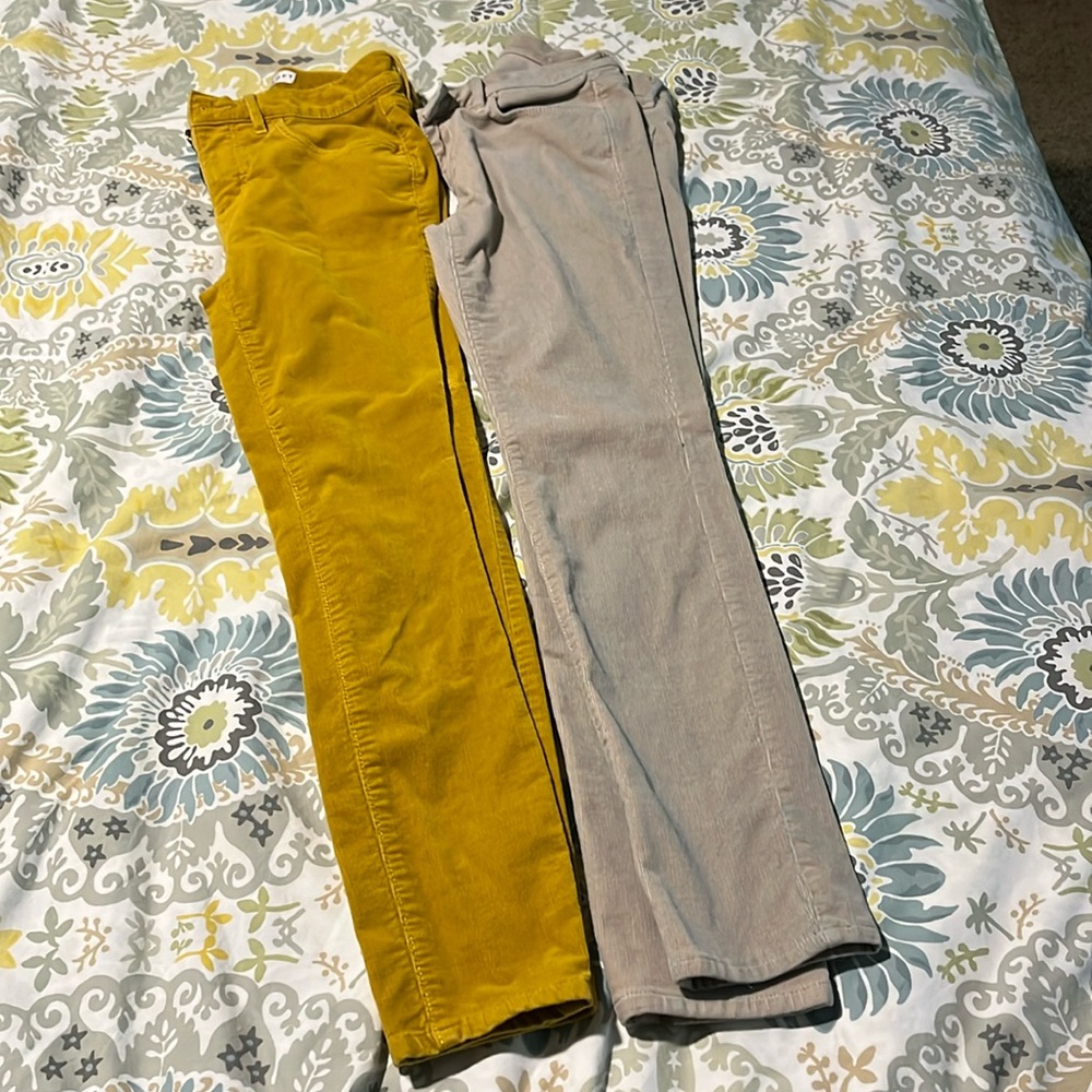 Loft Corduroy Pant Bundle - image 1